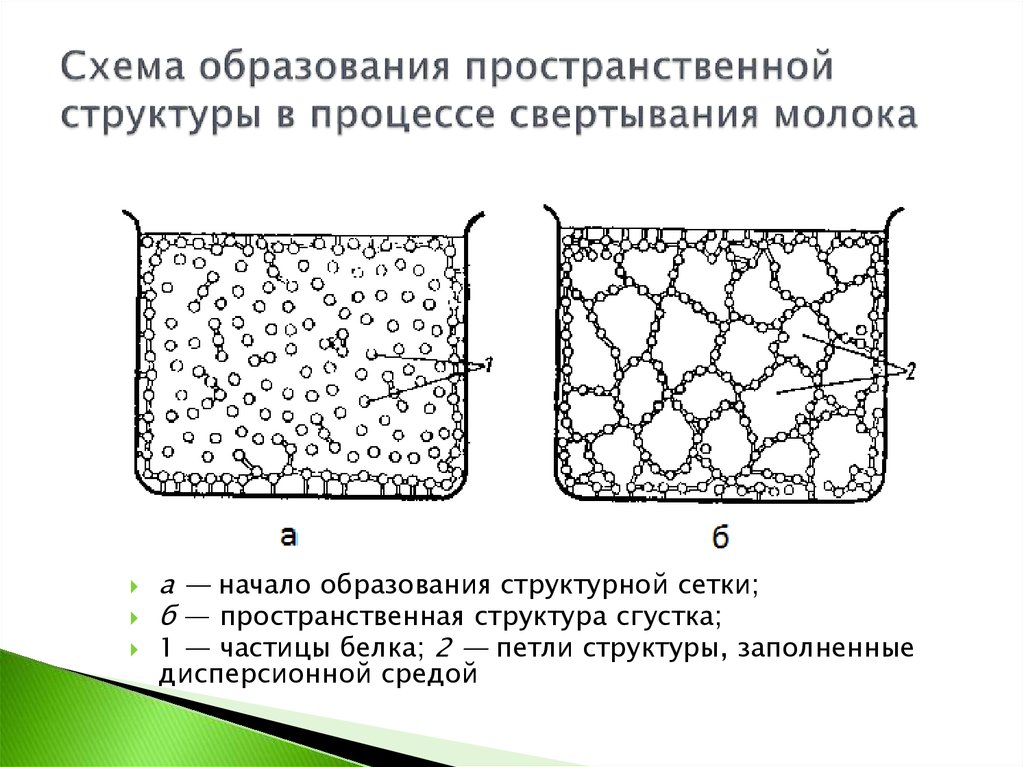 Схема образования линолеодистеарина