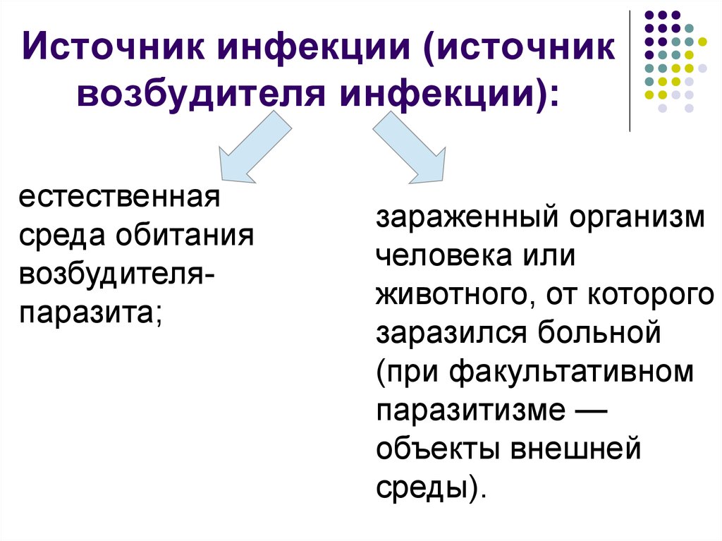 Монеты Бранденбурга 1621 1623 годов