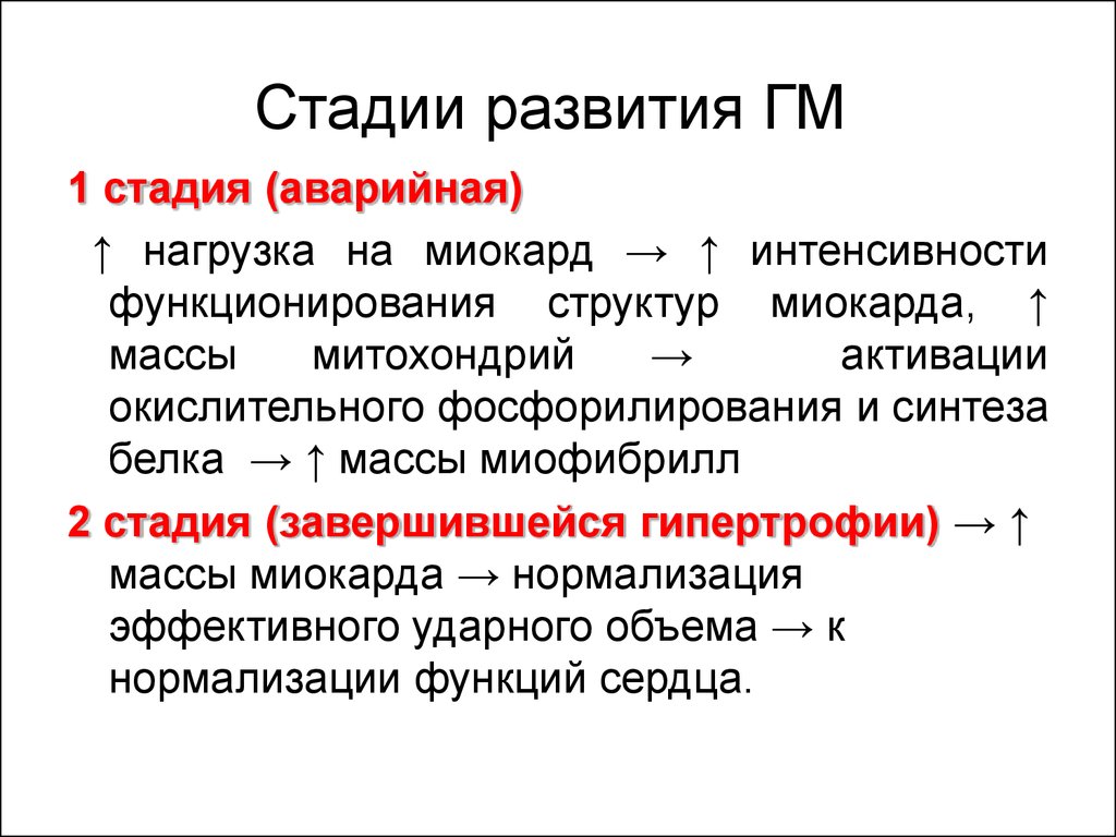 Стадии компенсаторной гиперфункции миокарда. Стадии развития гипертрофии. Стадии гипертрофии миокарда.