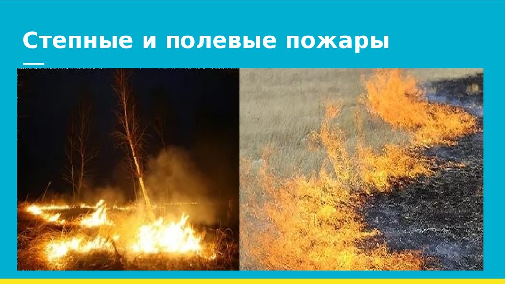 Поверхностный пожар. Степные и полевые пожары. Лесные и степные пожары. Пожар в степи. Природные пожары степные.