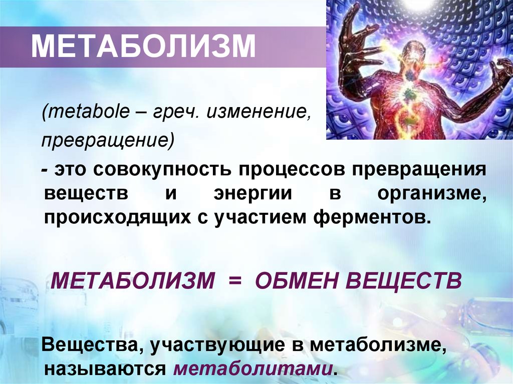 Превращение это. Метаболизм. Метаболизируется это. В организме происходит процесс превращения. Метаболизировать это.