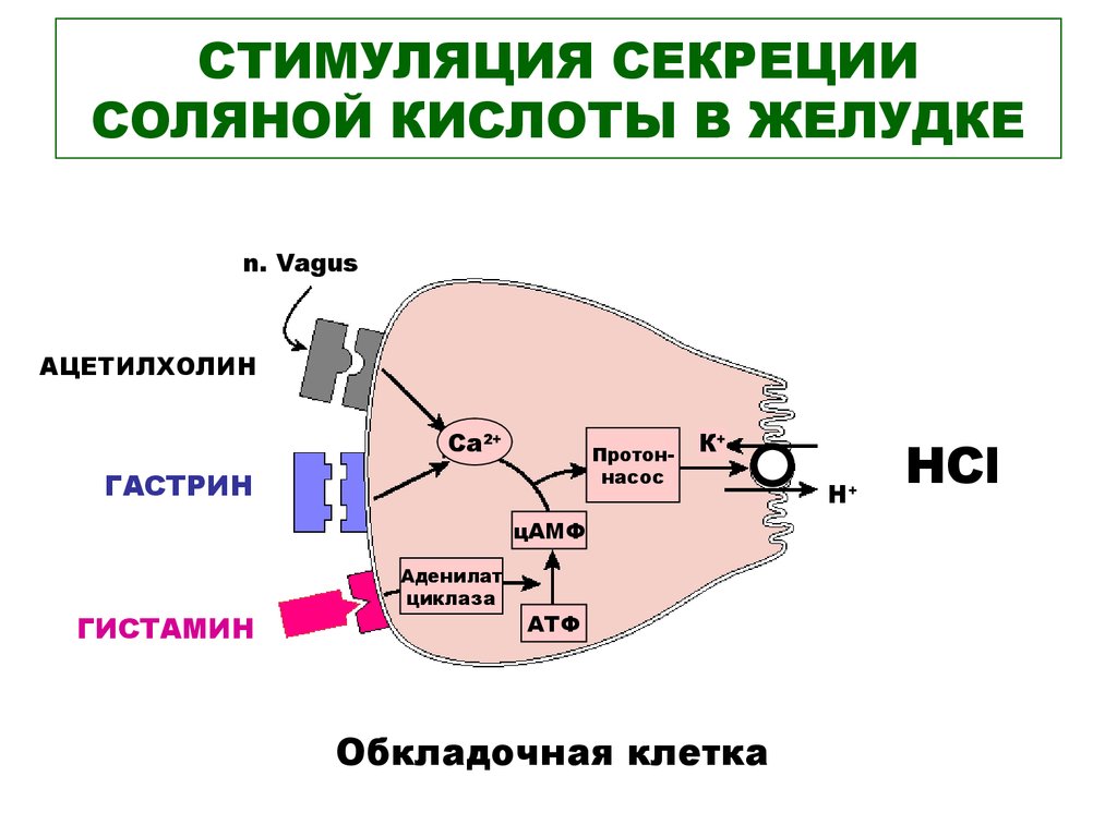 Схема образования соляной кислоты