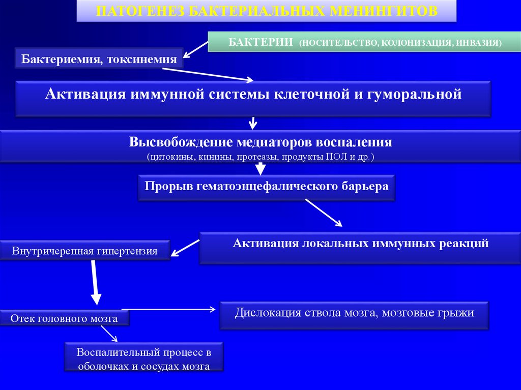 Менингококковая инфекция патогенез схема