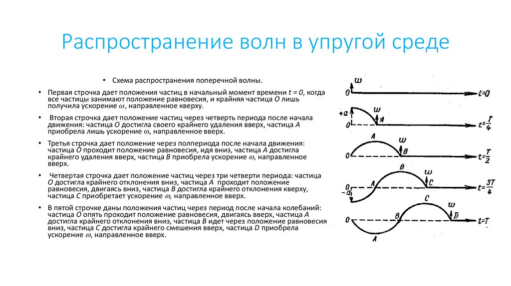 Ускорение направленное вверх. Механизм образования упругих волн. Механические волны распространение колебаний в упругих средах. Механизм распространения упругих волн в средах. Распространение колебаний в упругой среде формула.