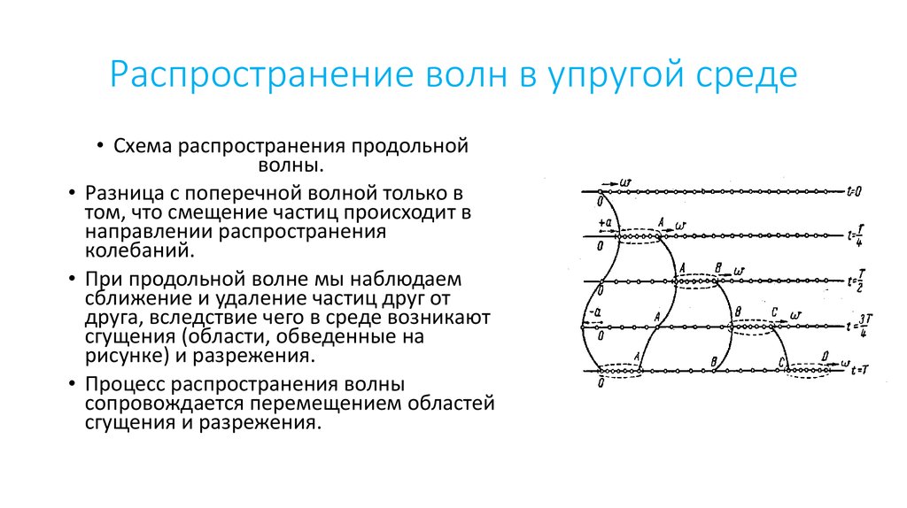 Механизм образования волн. Распространение колебаний в упругой среде. Распространение волн. Механизм образования механических волн. Распространение механических волн в упругих средах.