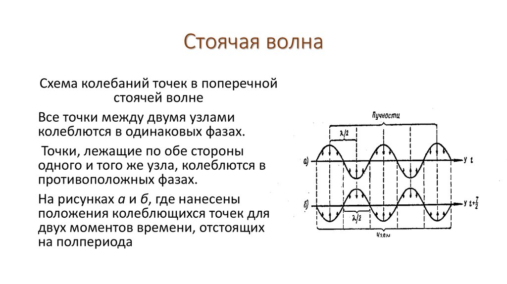 Нарисуйте стоячую волну и покажите узлы и пучности волны