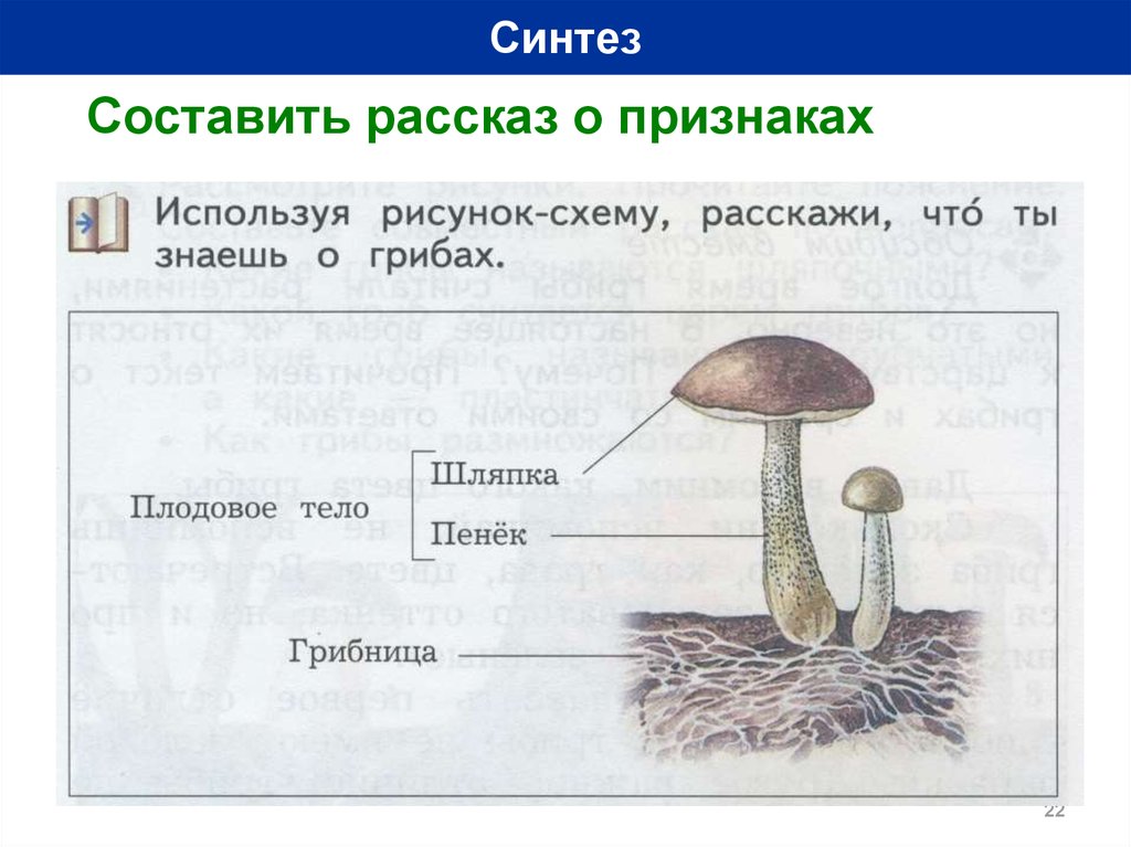 Составьте рассказ о вашей семьи. Составить рассказ используя признаки. • Пользуясь рисунком, Составь рассказ о окружающий мир.