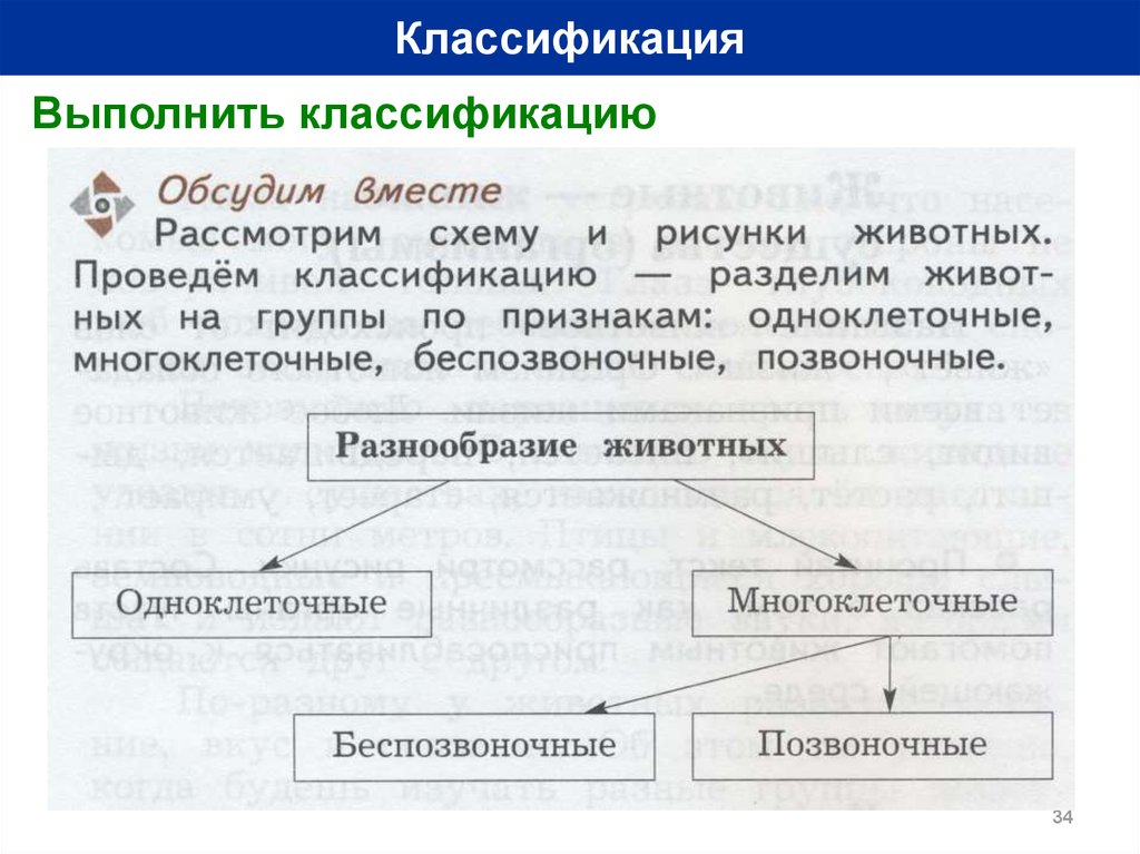 Разделение классификация. Выполнить классификацию 7 класс. Рассмотрим схему и рисунки животных проведем классификацию. Рассмотри схему и рисунки животных проведем классификацию разделим. Пример выполнения классификационная работы.