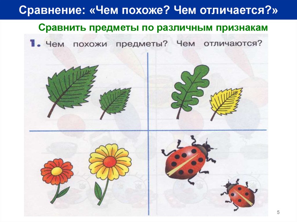 Сходство предметов