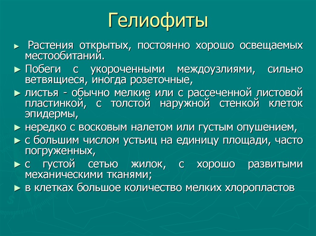 Гелиофиты