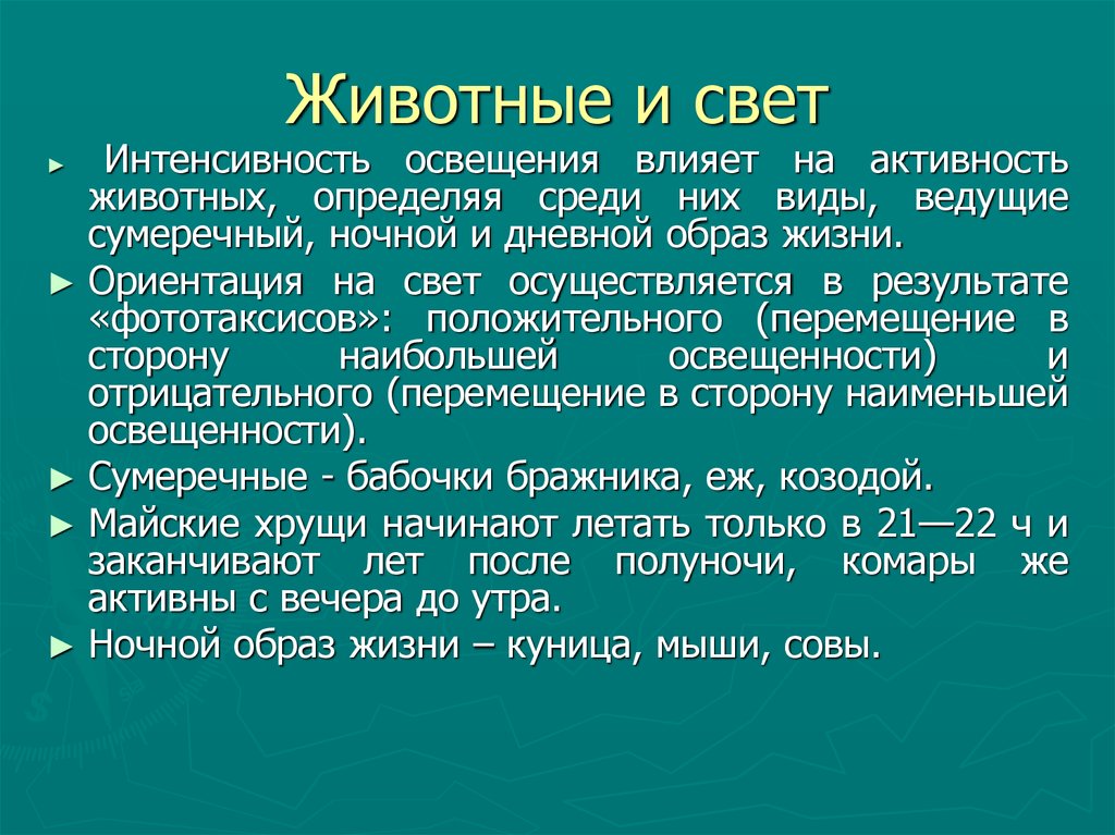 Дневной образ жизни