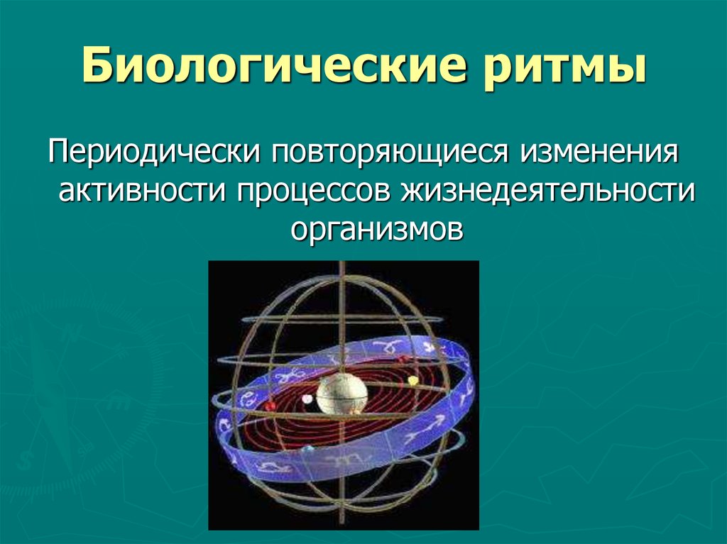 Периодически повторяющийся процесс. Биоритмы экология. Экологические биоритмы человека. Экологические биоритмы примеры. Космические биологические ритмы.