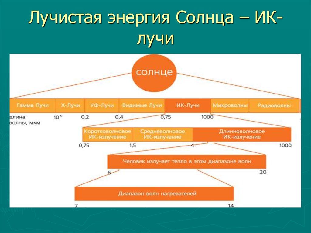 Лучистая энергия. Формы лучистой энергии. Лучистая Солнечная энергия. Свет и Лучистая энергия солнца как экологический фактор.