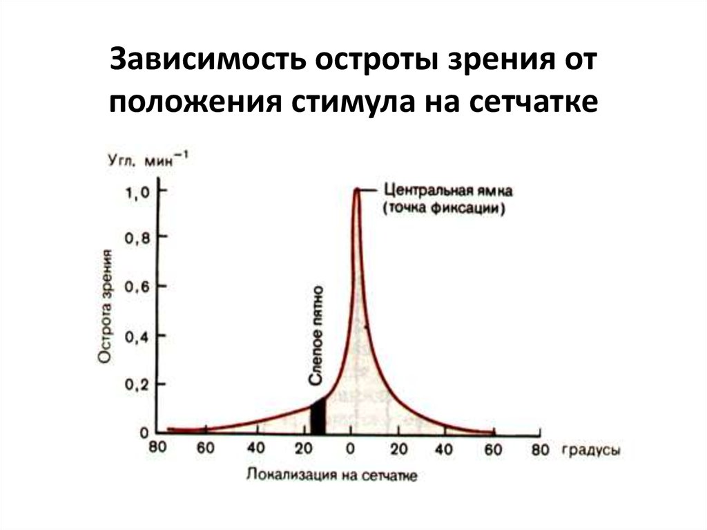 От чего зависит острота зрения