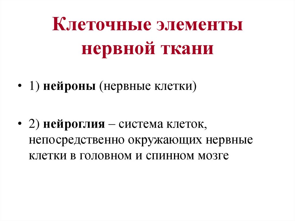 Презентация биохимия нервной системы