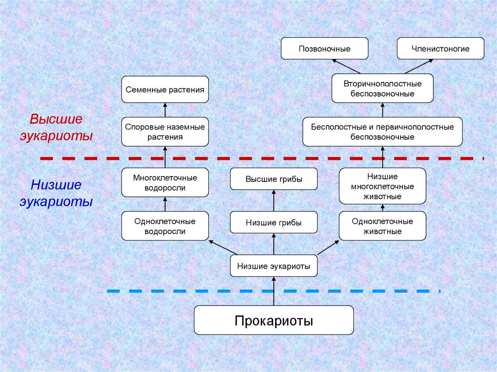 Арогенез аллогенез катагенез презентация