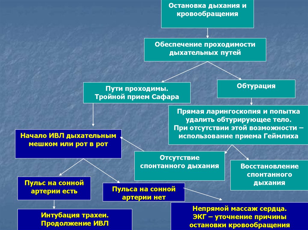 Отсутствие обеспечения. Остановка дыхания и кровообращения. Алгоритм при отсутствии кровообращения. Остановка дыхания и кровообращения первая помощь. Остановка дыхания и кровообращения алгоритмы.