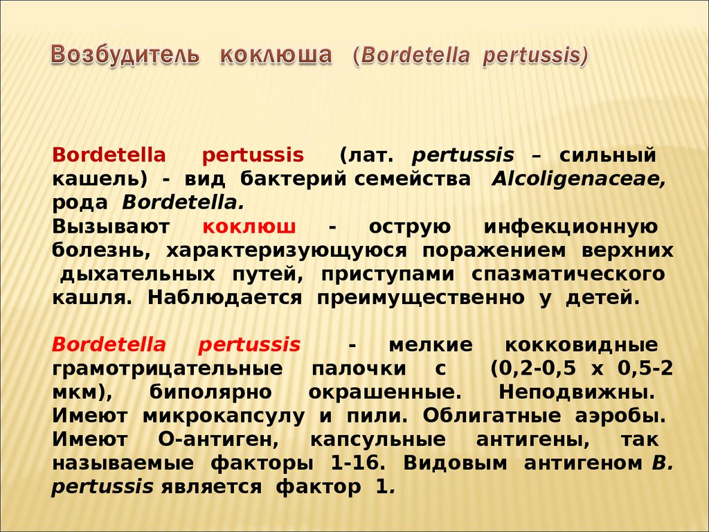 Анализ bordetella pertussis. Возбудитель коклюша. Возбудитель легионеллеза. Возбудитель дифтерии и коклюша. Коклюш семейство.