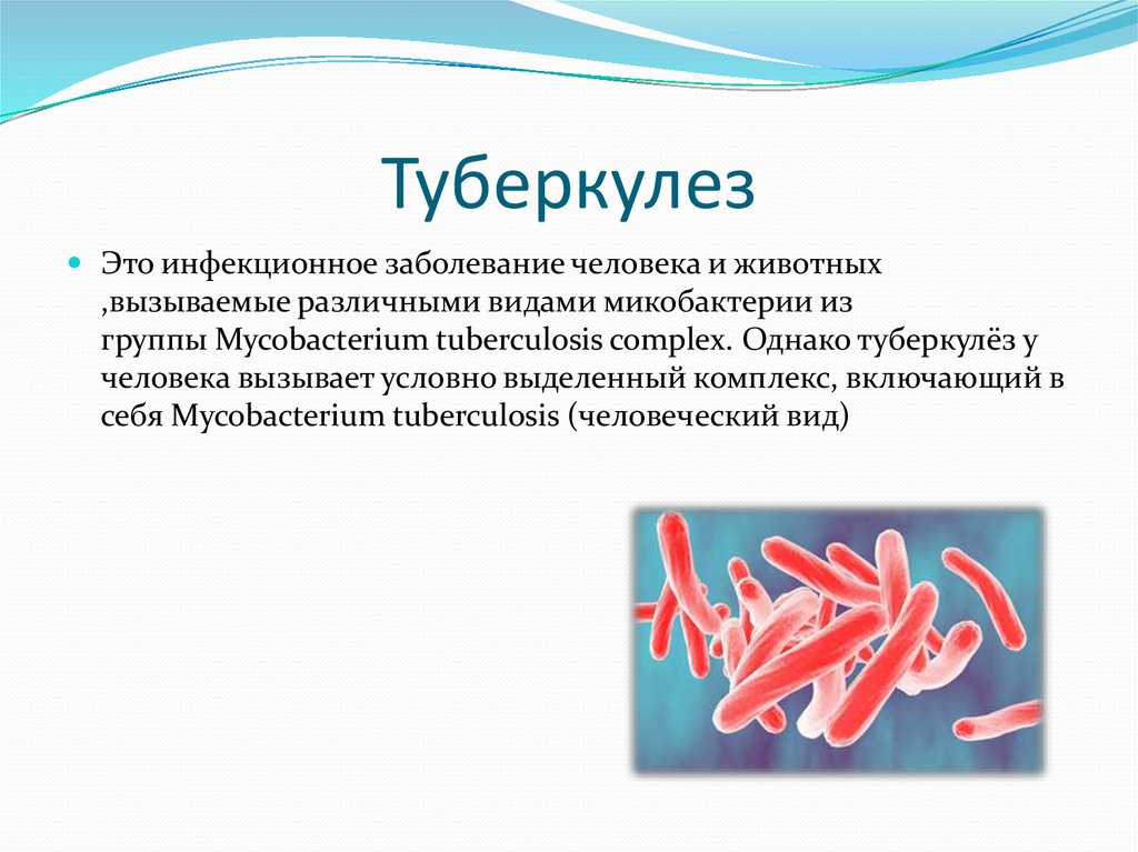 Туберкулез биология. Туберкулез презентация. Заболевание туберкулез.