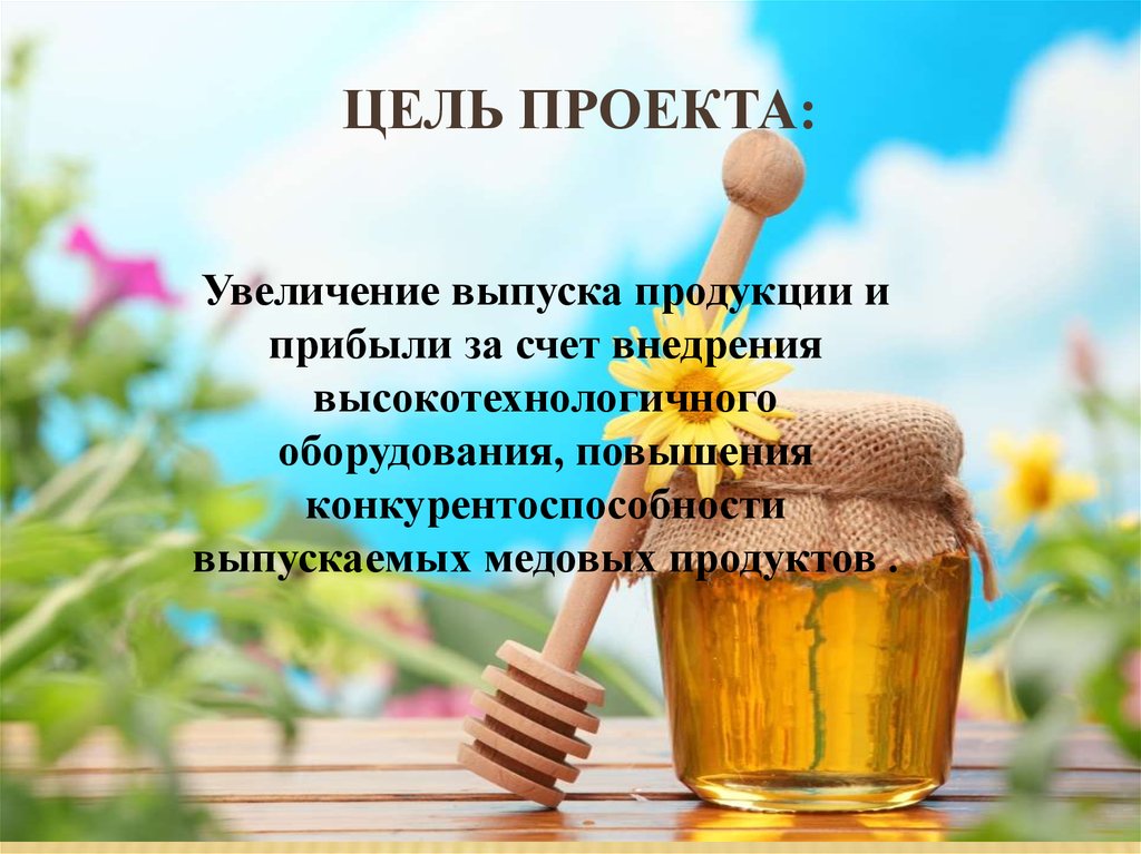 Цель проекта: