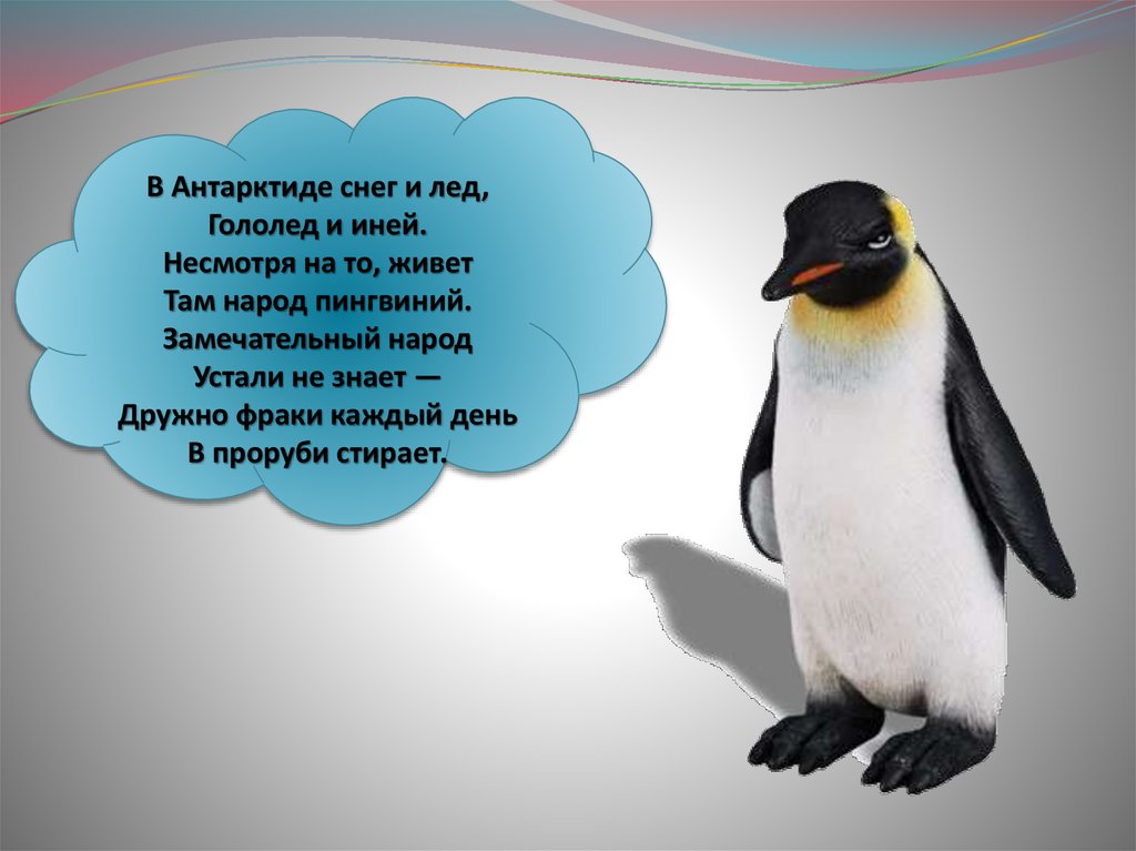 Презентация где живут белые медведи 1 класс окружающий мир школа россии