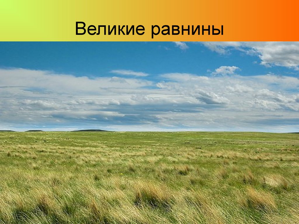 2 равнины. Великие равнины Северной Америки. Великие равнины равнины Северной Америки. Великие равнины США растительность. Великие равнины рельеф.