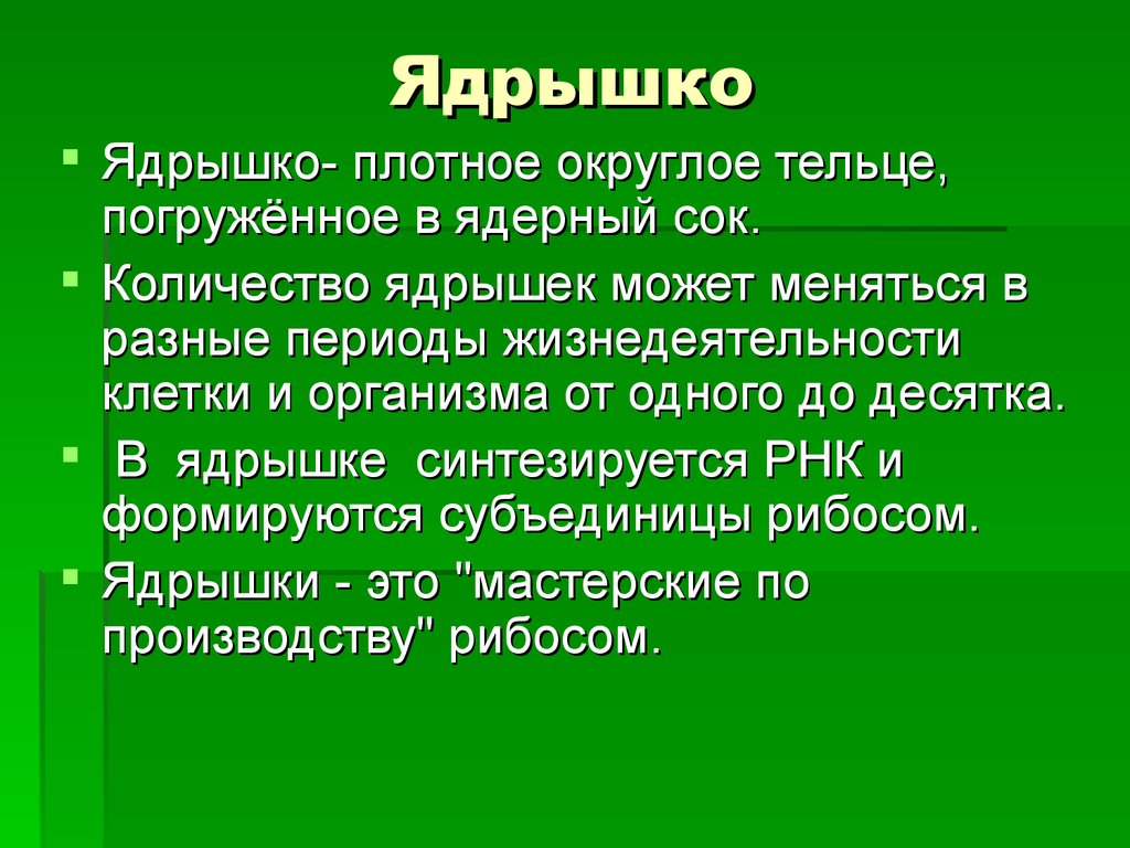 Ядрышко это. Ядрышко. Ядрышко определение. Ядрышко это в биологии определение. Ядрышко это в биологии кратко.