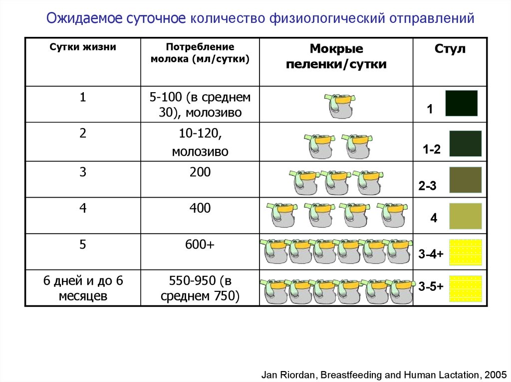 Суточное количество. Суточный объем физиологических отправлений (мл). Суточный объем физиологических отправлений у взрослого. Суточный объем отправлений. Норма суточного объема физиологических отправлений.