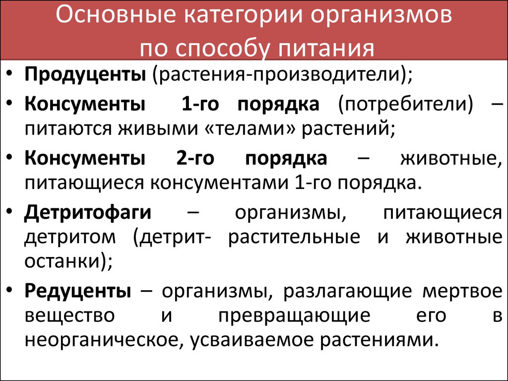 Раздел учебной дисциплины и виды учебной деятельности - презентация онлайн