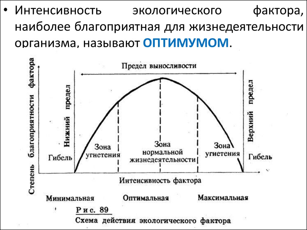 Интенсивность фактора. Интенсивность жизнедеятельности.