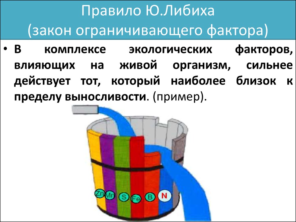 Наглядным изображением какого закона земледелия является бочка добенека