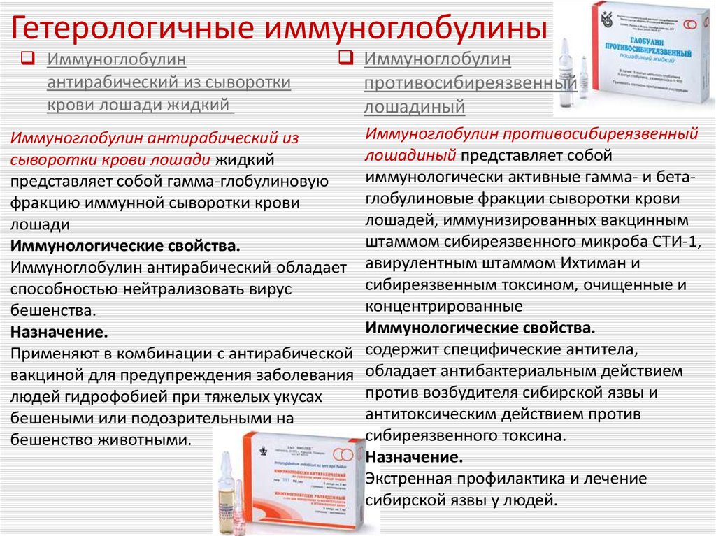 Применять предложить. Противокоревой иммуноглобулин микробиология. Гетерологичные сыворотки и иммуноглобулины. Гетерологичный специфический иммуноглобулин. Иммуноглобулины гомологичные и гетерологичные.