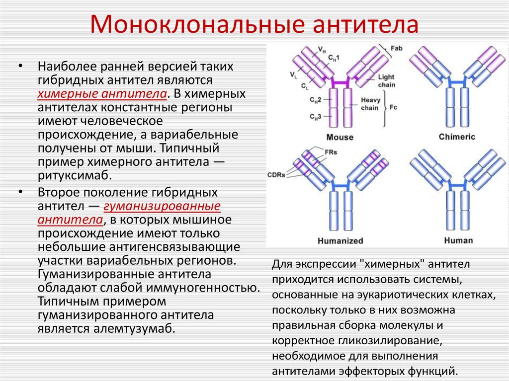 Антиген ковид