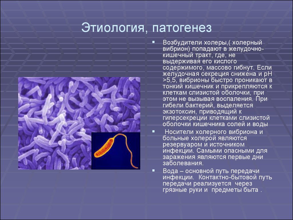 Холера имеет. Вибрионы бактерии микробиология. Холерный вибрион болезни. Холерный вибрион этиология. Холерный вибрион это бактерия.