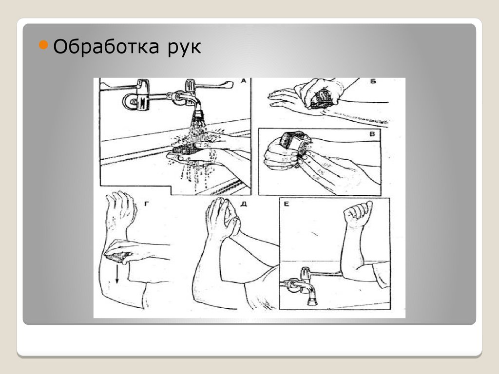 Способы кастрации жеребцов. Местное обезболивание при кастрации Жеребцов. Кастрация жеребца открытым способом.