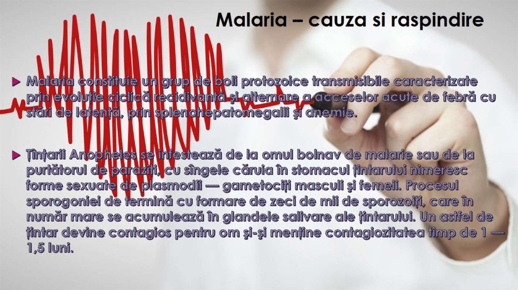 Malaria – cauza si raspindire