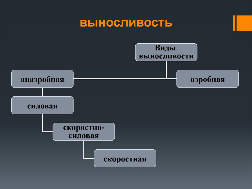 Виды выносливости