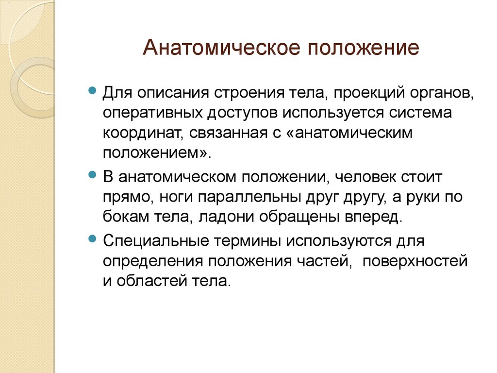 Характеристика положения человека. Анатомическое положение. Анатомическое положение тела. Характеристика положений тела. Человек в анатомическом положении.