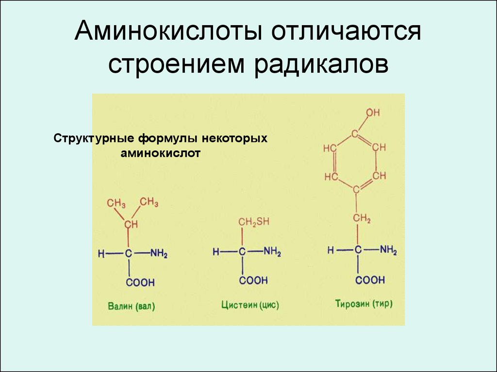 Что отличает строение. Аминокислоты. Строение аминокислот. Радикалы аминокислот. Аминокислоты различаются.
