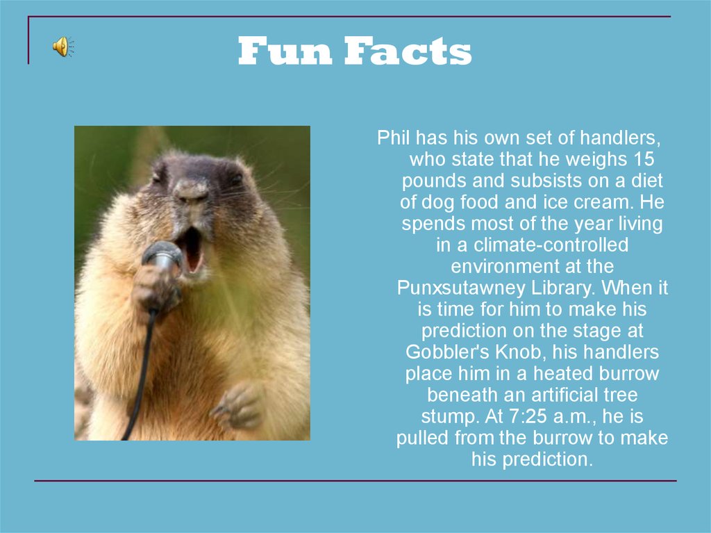 Fun Facts About Groundhog Day For Preschoolers