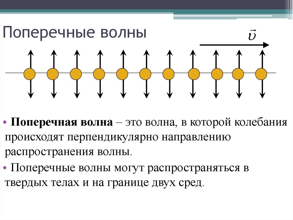 Перпендикулярно направлению распространения волны. Поперечные волны. Поперечная волна это в физике. Поперечные колебания. Поперечность волн.