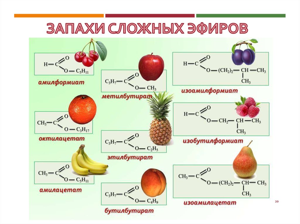 Эфиры презентация по химии 10 класс