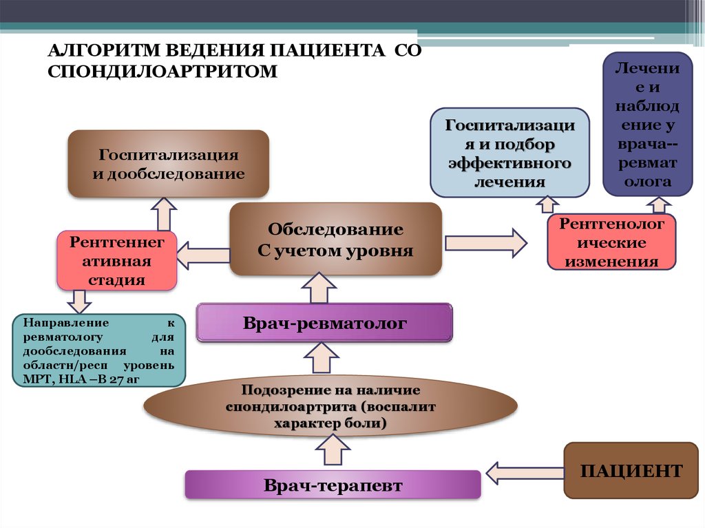 Классификация суппле картинки