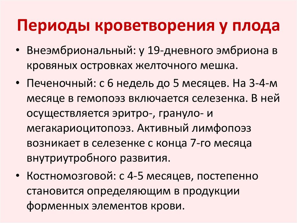 Этапы гемопоэза. Кроветворение во внутриутробном периоде. Периоды кроветворения у плода. Особенности кроветворения у плода. Периоды гемопоэза.