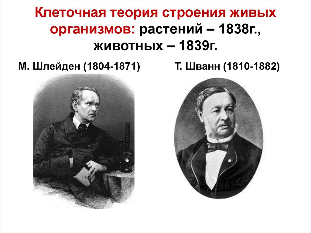 Клеточная теория строения организмов история и современное состояние презентация