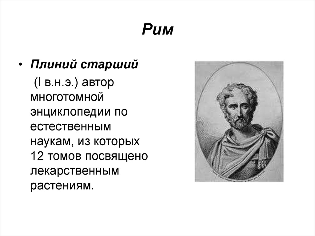 Назовите старший. Римский писатель Плиний старший. Древнеримский историк Плиний- старший. Гай Плиний секунд старший. Гай Плиний старший биология.