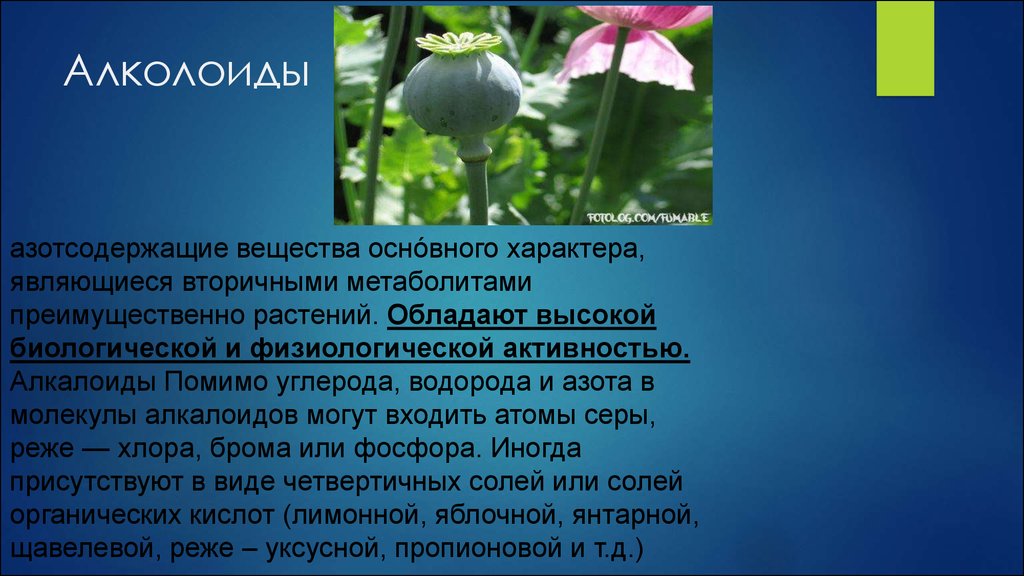 Главное вещество. Растительные алкалоиды. Природные алкалоиды. Ядовитые алкалоиды. Биологическая роль алкалоидов.