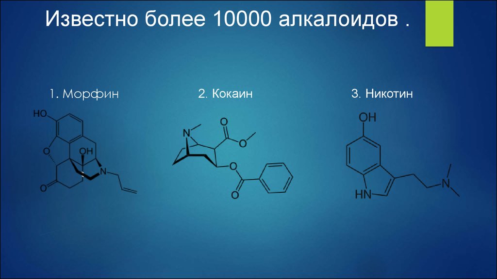 Более 10000. Кокаин алкалоид. Алкалоид никотин. Морфин, кокаин, никотин. Морфин первый алкалоид.