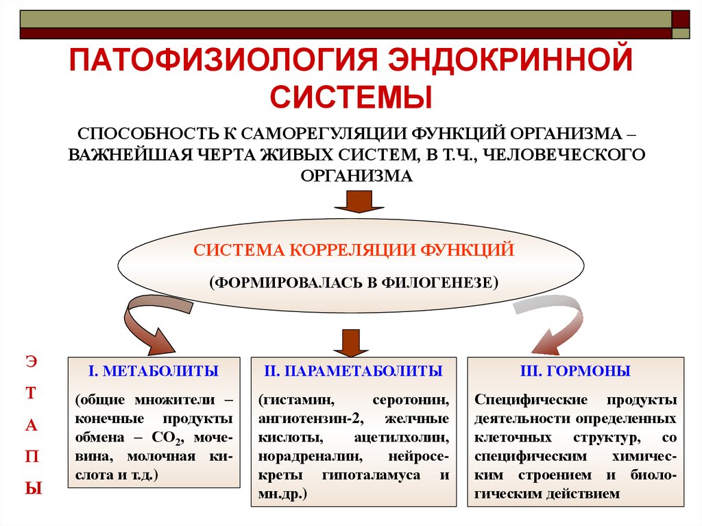 Патофизиология эндокринной системы презентация