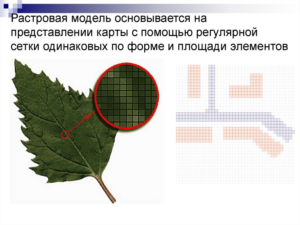 Все компьютерные изображения разделяют на два типа растровые и векторные